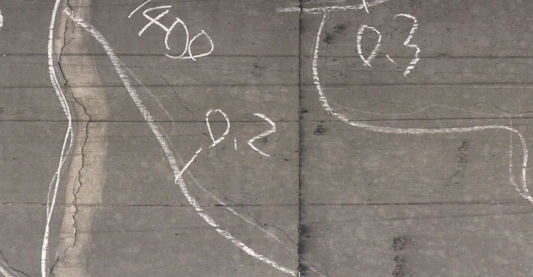 撮影画像サンプル